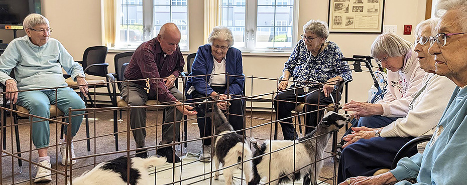 Pines Assisted Living folks enjoy a visit from three Fainting Goats!